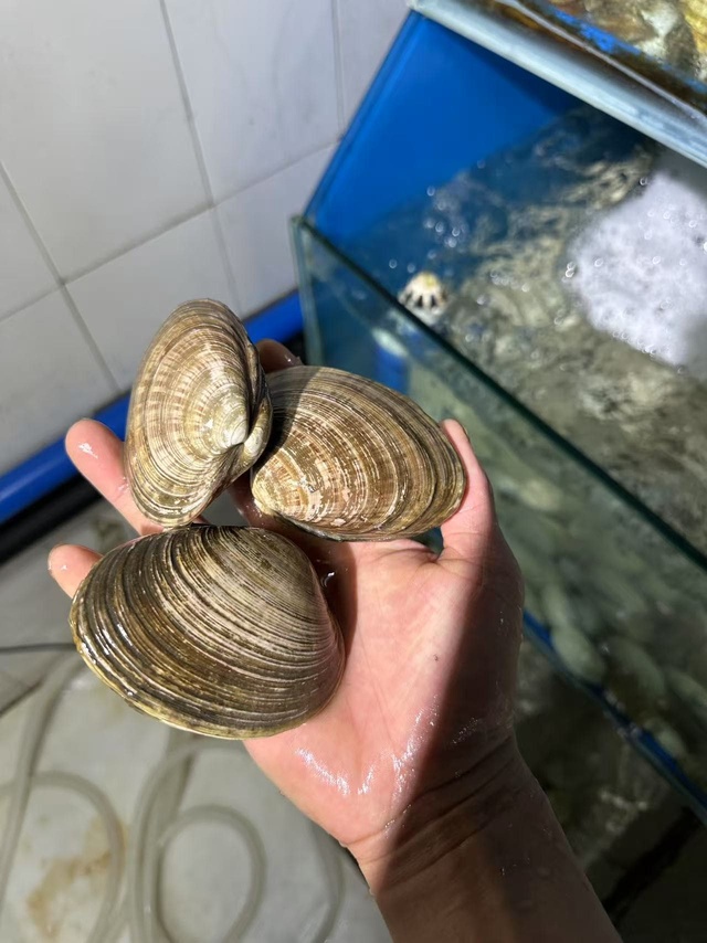 贵阳盛陵海产品