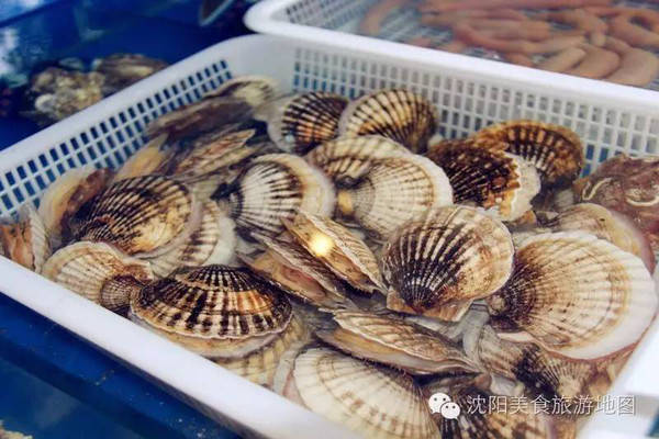 发现&middot;特色|那一首西海情歌