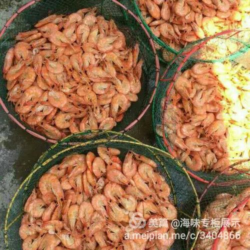 渔家自产自销鲜活海产品