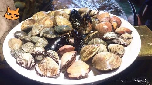 它堪称南浔"海鲜工厂",超70 种海鲜自选天天平价!