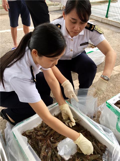 广西首个进境食用水生动物指定口岸正式启用