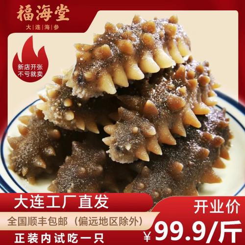 淡干海参干广告{大连工厂}淡