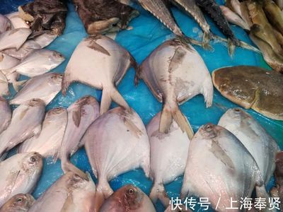 开渔后第一批海产品大量上市!看到梭子蟹价格,大家都笑了~
