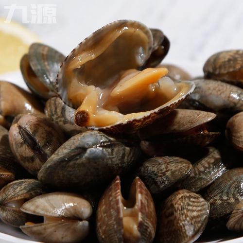 连云港贝类水产批发新鲜海鲜花甲鲜活花蛤无沙冰鲜海产品